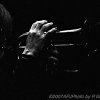 Tom Harrell Quintet