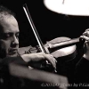 Quintorigo & De Vito Chiasso 2010