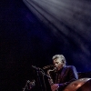 Francesco D'Auria  Lunatics Quartett