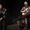 Francesco D'Auria  Lunatics Quartett